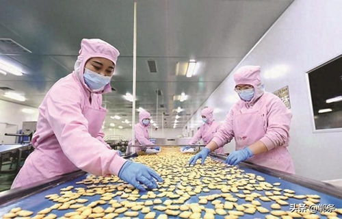 生物技術驅動邱縣食品產(chǎn)業(yè)新圖景 創(chuàng)新、升級與可持續(xù)發(fā)展