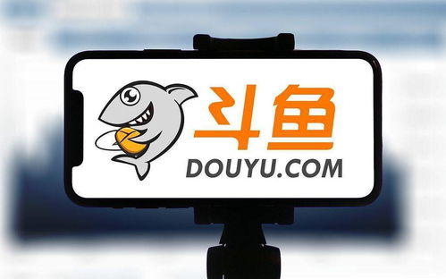 斗魚戰略入股九途文化，以股權綁定深化主播合作